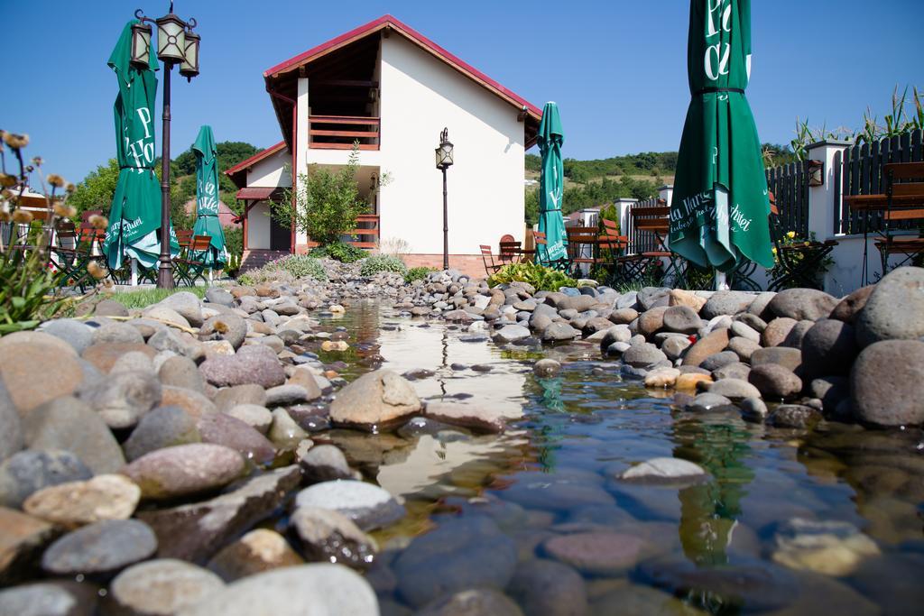 Bed and Breakfast Country Court Curteni Exterior foto